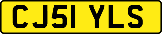 CJ51YLS