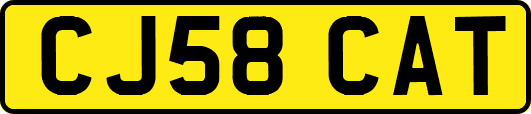 CJ58CAT