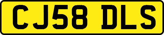 CJ58DLS