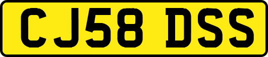CJ58DSS