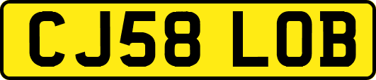 CJ58LOB