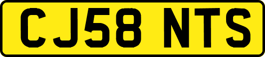 CJ58NTS