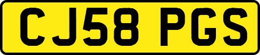 CJ58PGS