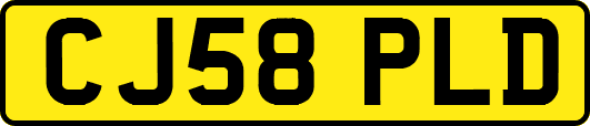 CJ58PLD