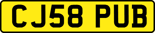CJ58PUB