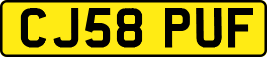 CJ58PUF