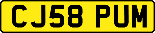 CJ58PUM