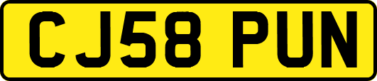 CJ58PUN