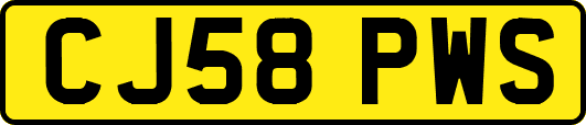 CJ58PWS