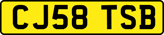 CJ58TSB