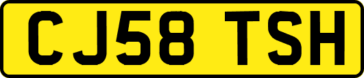 CJ58TSH