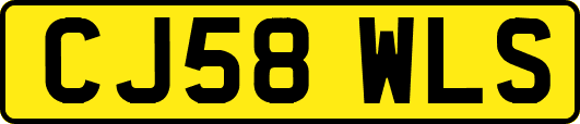 CJ58WLS