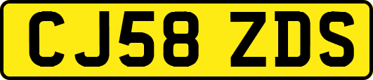 CJ58ZDS