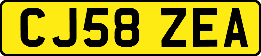 CJ58ZEA