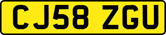 CJ58ZGU
