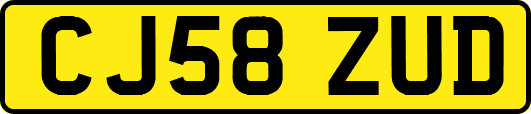 CJ58ZUD