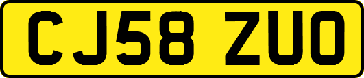 CJ58ZUO