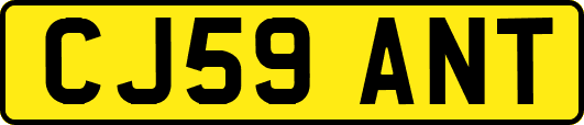 CJ59ANT