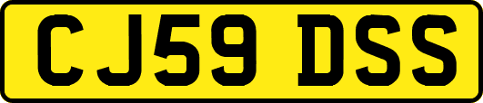 CJ59DSS