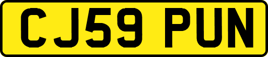CJ59PUN