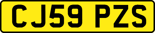 CJ59PZS