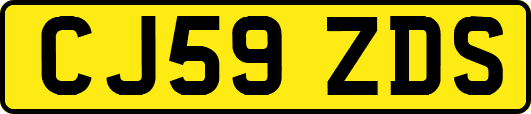 CJ59ZDS