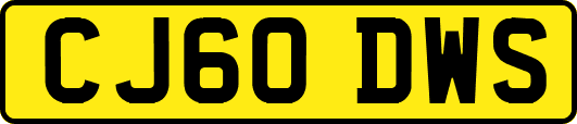 CJ60DWS