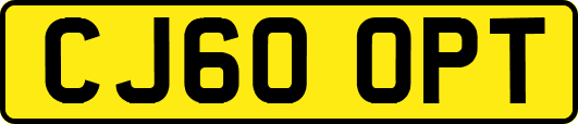 CJ60OPT