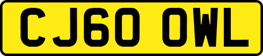 CJ60OWL