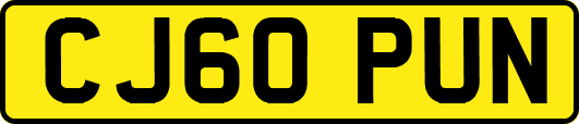 CJ60PUN