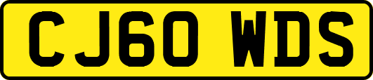 CJ60WDS