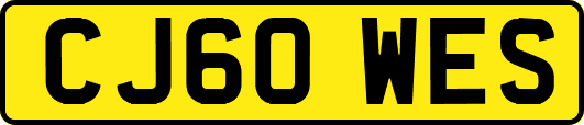 CJ60WES