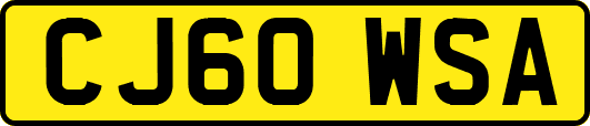 CJ60WSA