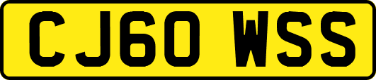 CJ60WSS