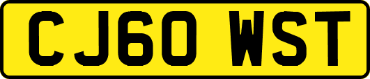 CJ60WST