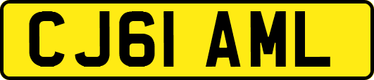 CJ61AML