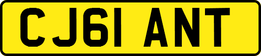 CJ61ANT
