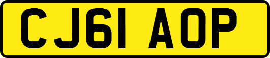 CJ61AOP