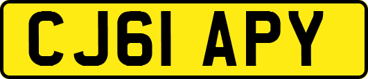 CJ61APY