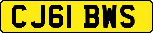 CJ61BWS