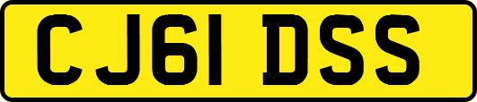 CJ61DSS