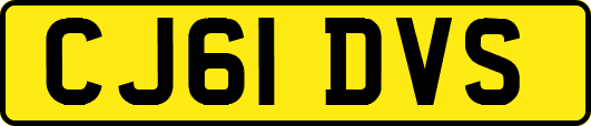 CJ61DVS