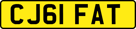 CJ61FAT