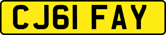 CJ61FAY