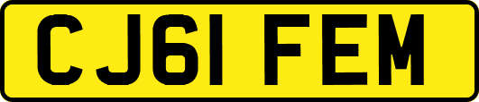 CJ61FEM
