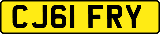 CJ61FRY