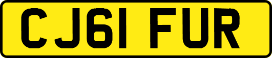 CJ61FUR
