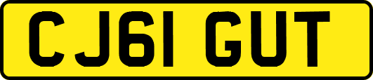 CJ61GUT