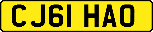 CJ61HAO