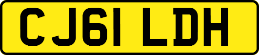CJ61LDH
